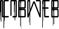 Cobweb Nepal logo